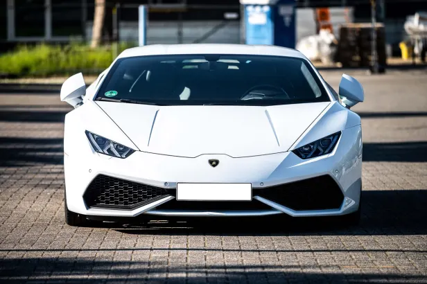 곰블링고 카지노 안드로이드/iOS 앱